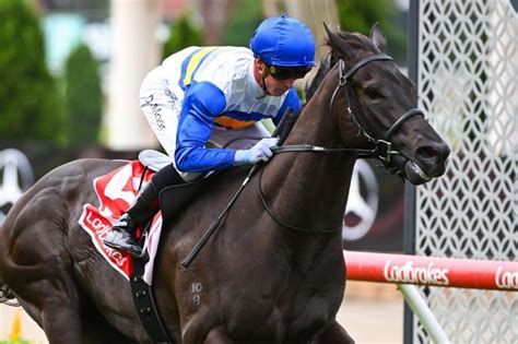 Manikato Stakes 2023: Runner.